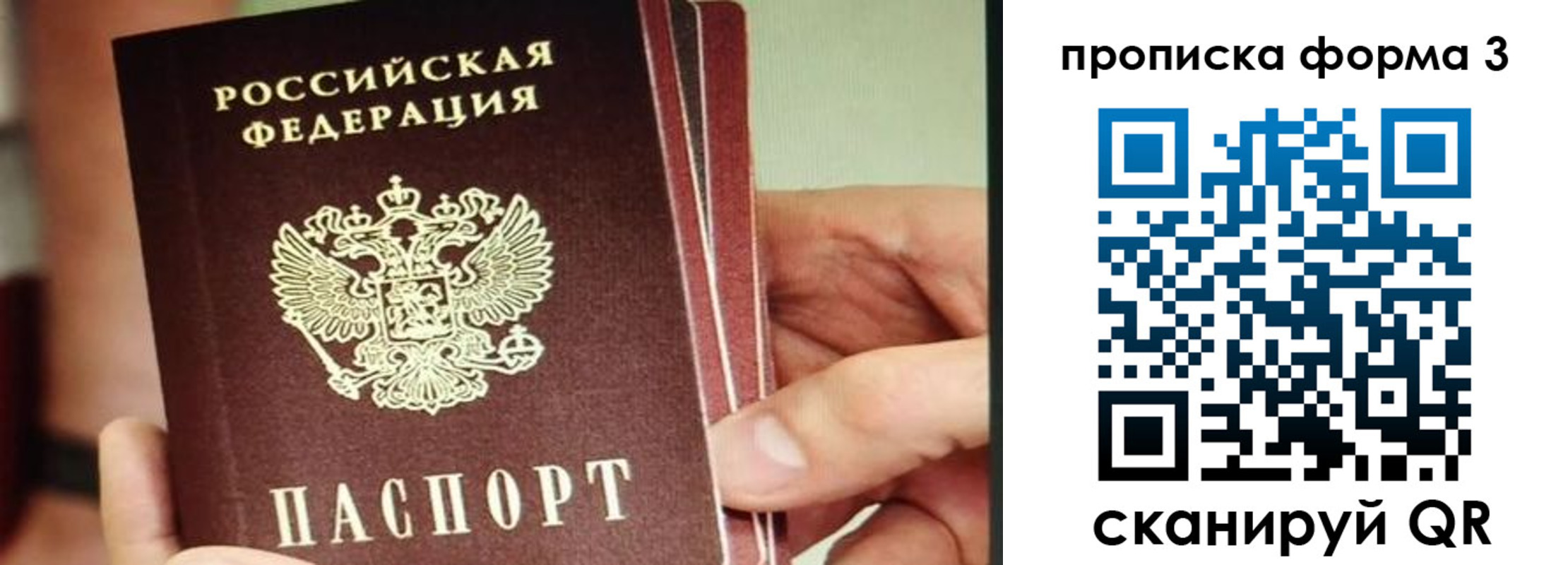 прописка законно в Балтийске